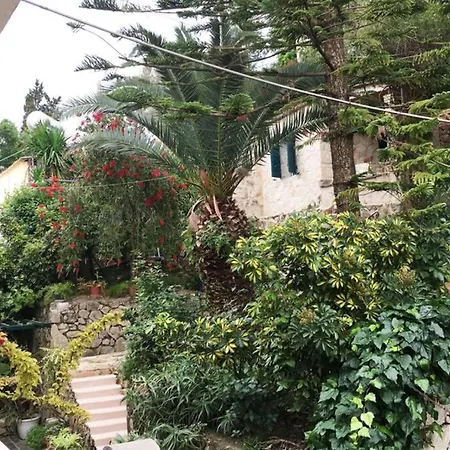 Traditional At Xenios Avlais * Αλυκανάς